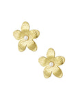 Blomblad - SILVÈRA